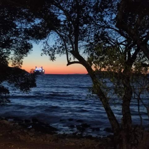 Semesterbostad Oleas Hvar - 2 Min To Center Ocean Bus Supermarket House Stari Grad (Hvar)